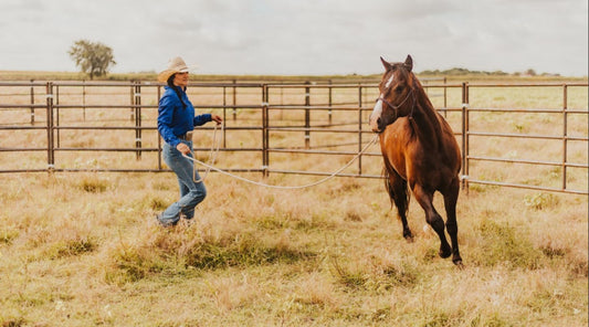 Discover the Ideal Round Pen for You