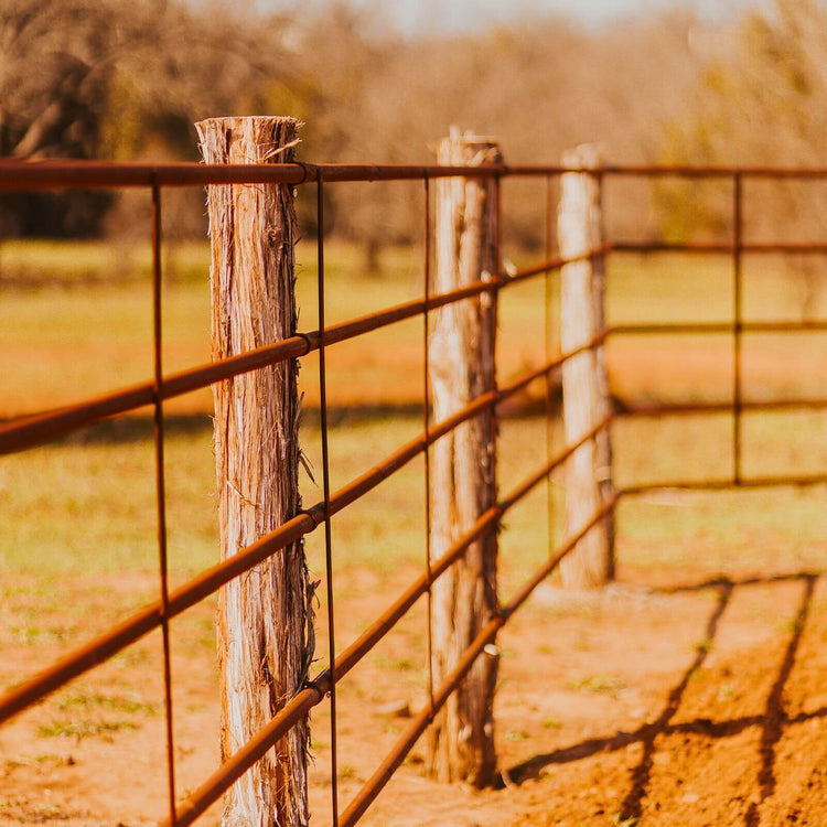 Continuous Fence