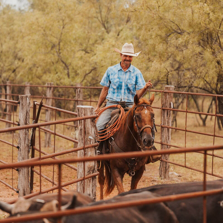 Roping Arenas