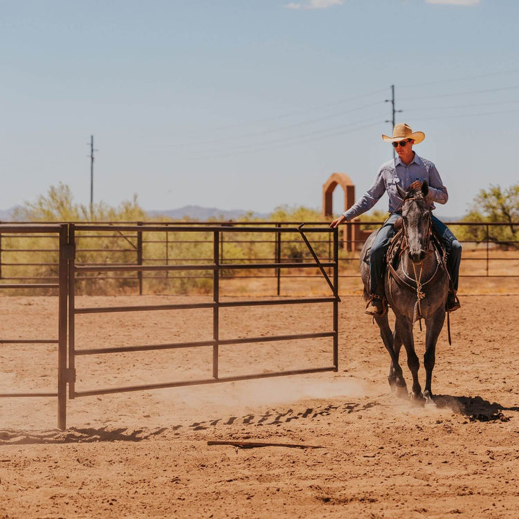 Swing Gates