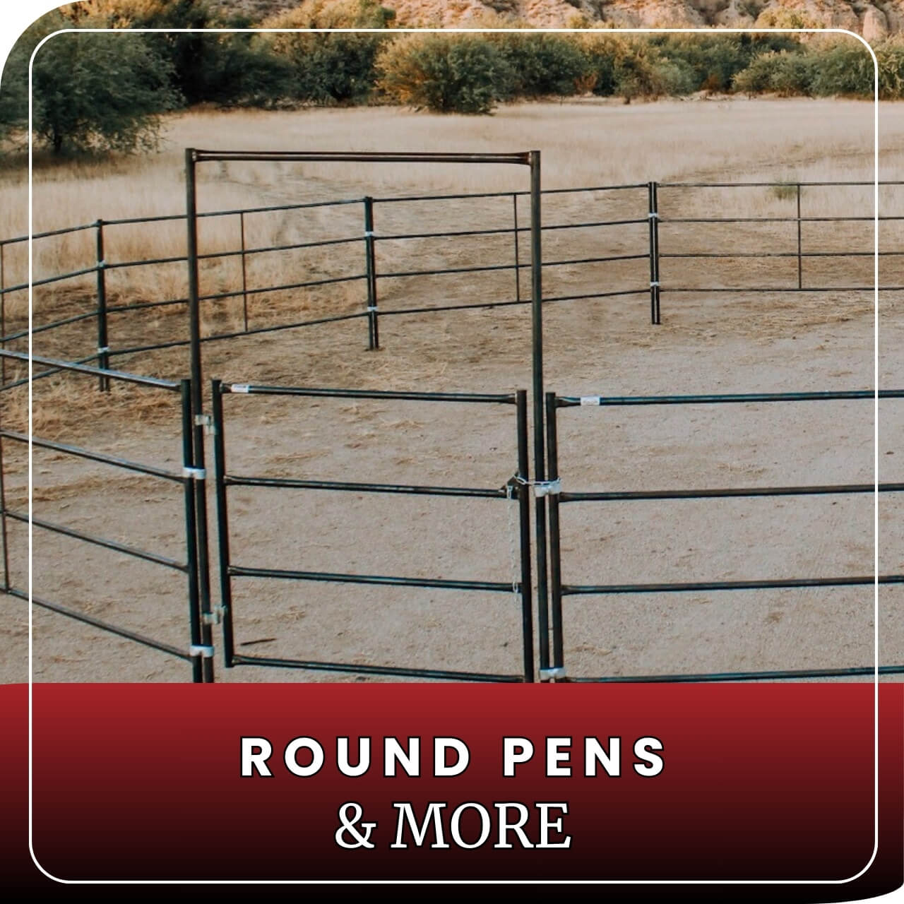 Horse Panel 10' - 4 Rail Standard