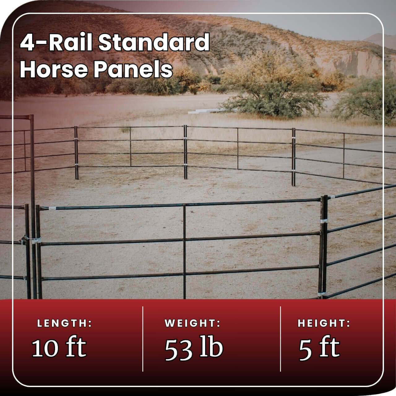Horse Panel 10' - 4 Rail Standard