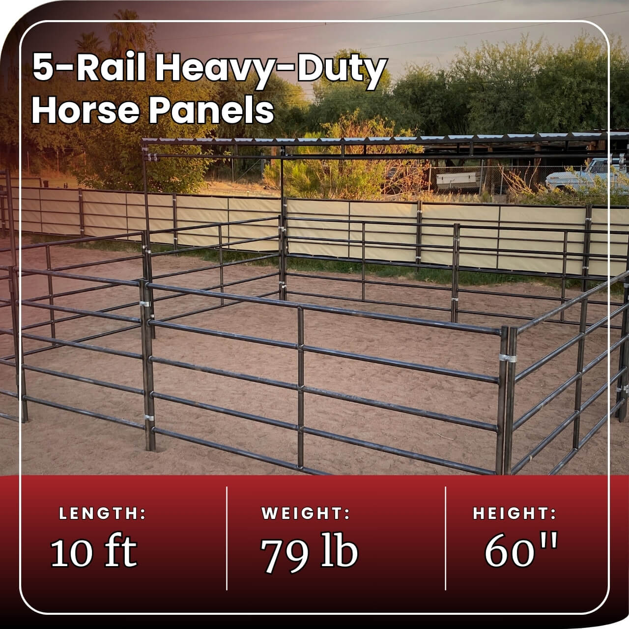 Horse Panel 10' - 5 Rail Heavy Duty