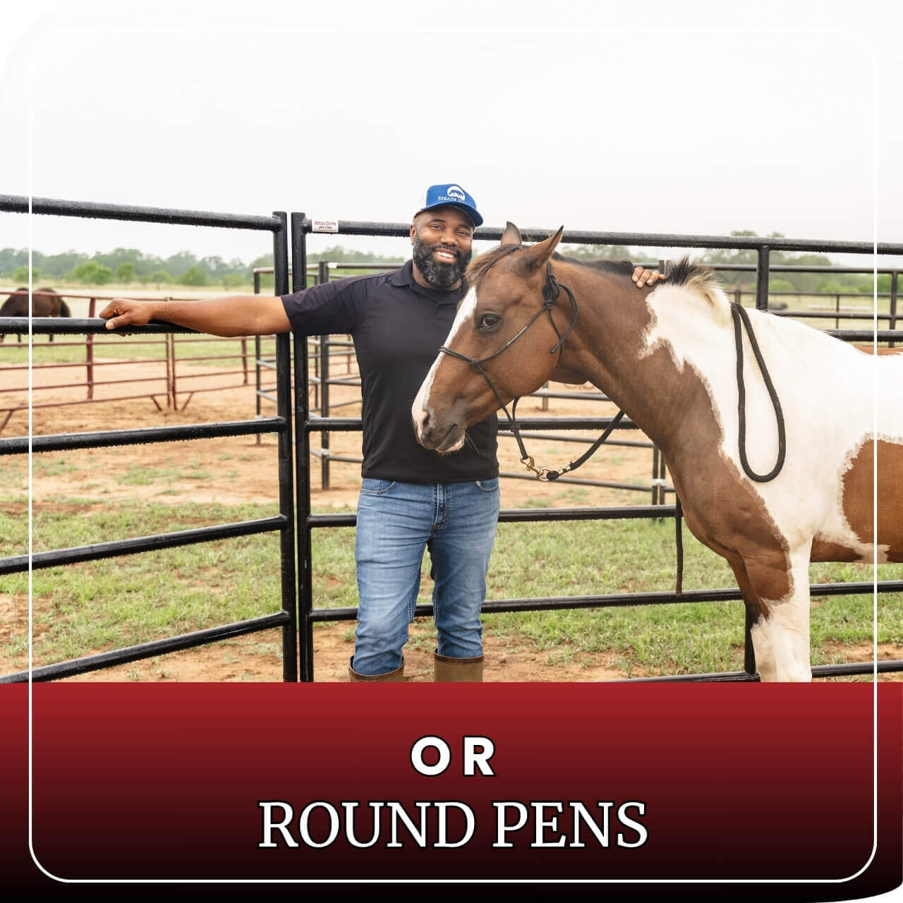 Horse Panel 10' - 5 Rail Standard