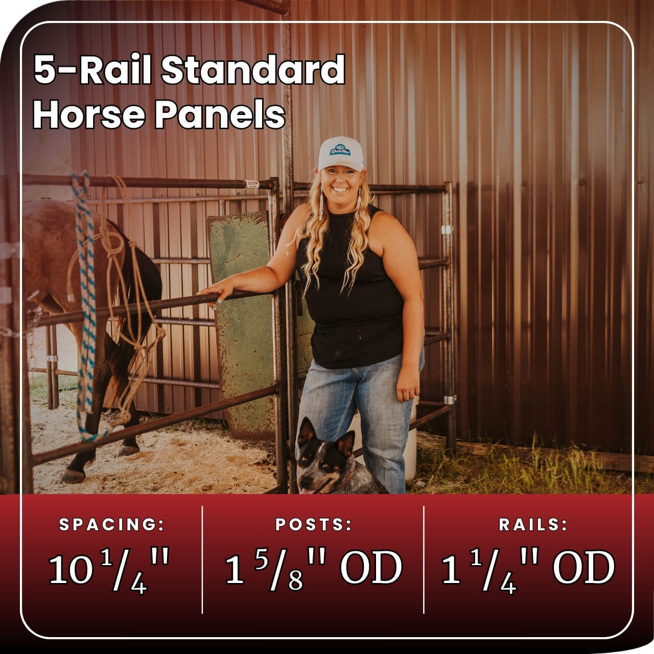Horse Panel 10' - 5 Rail Standard