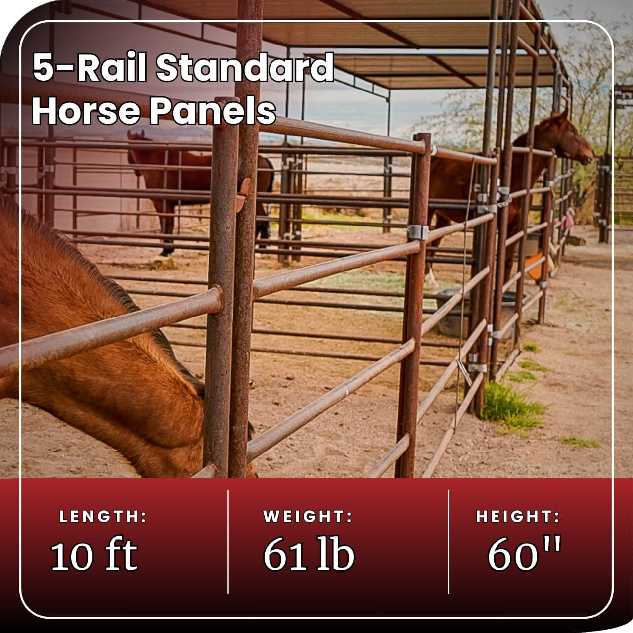 Horse Panel 10' - 5 Rail Standard