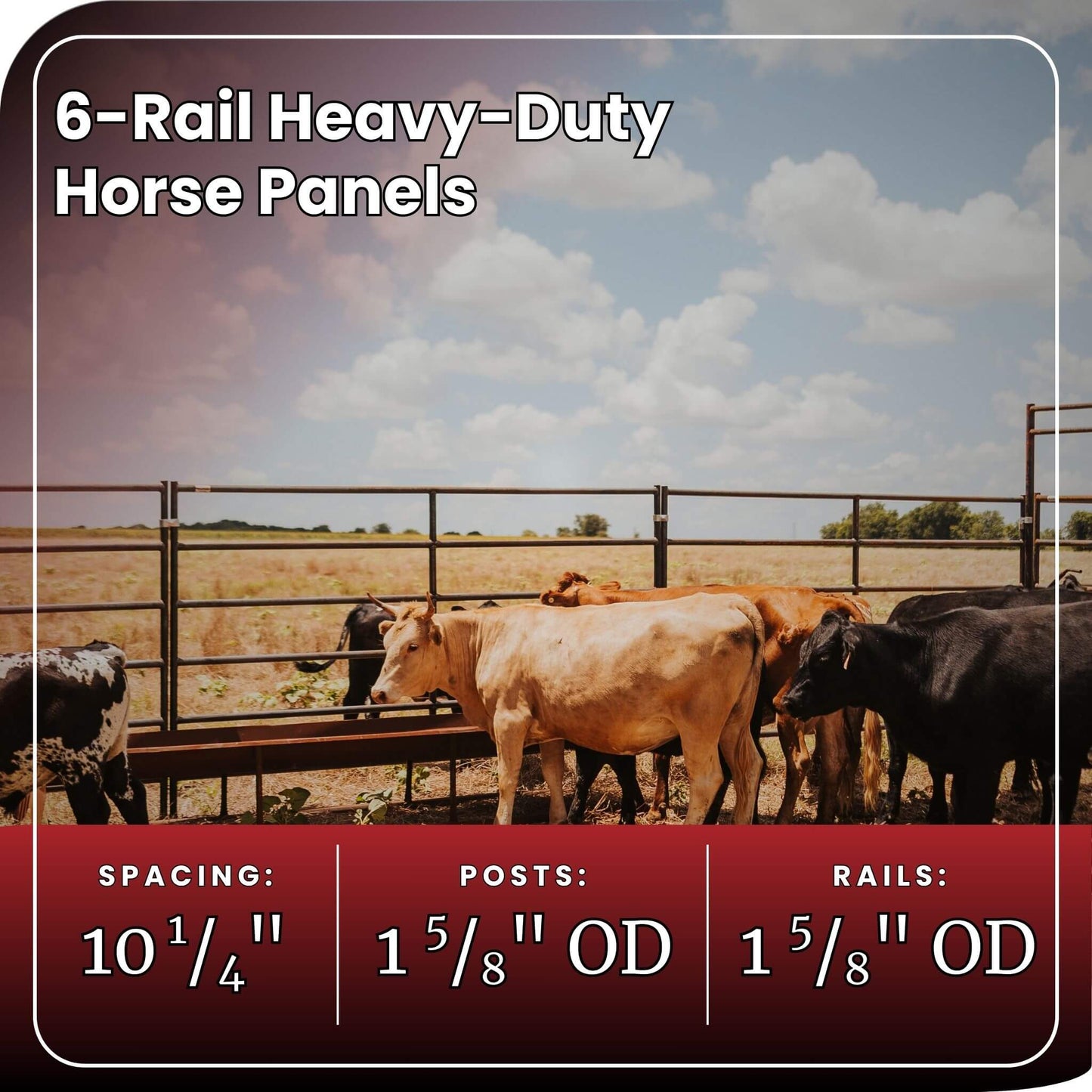 Horse Panel 10' - 6 Rail Heavy Duty