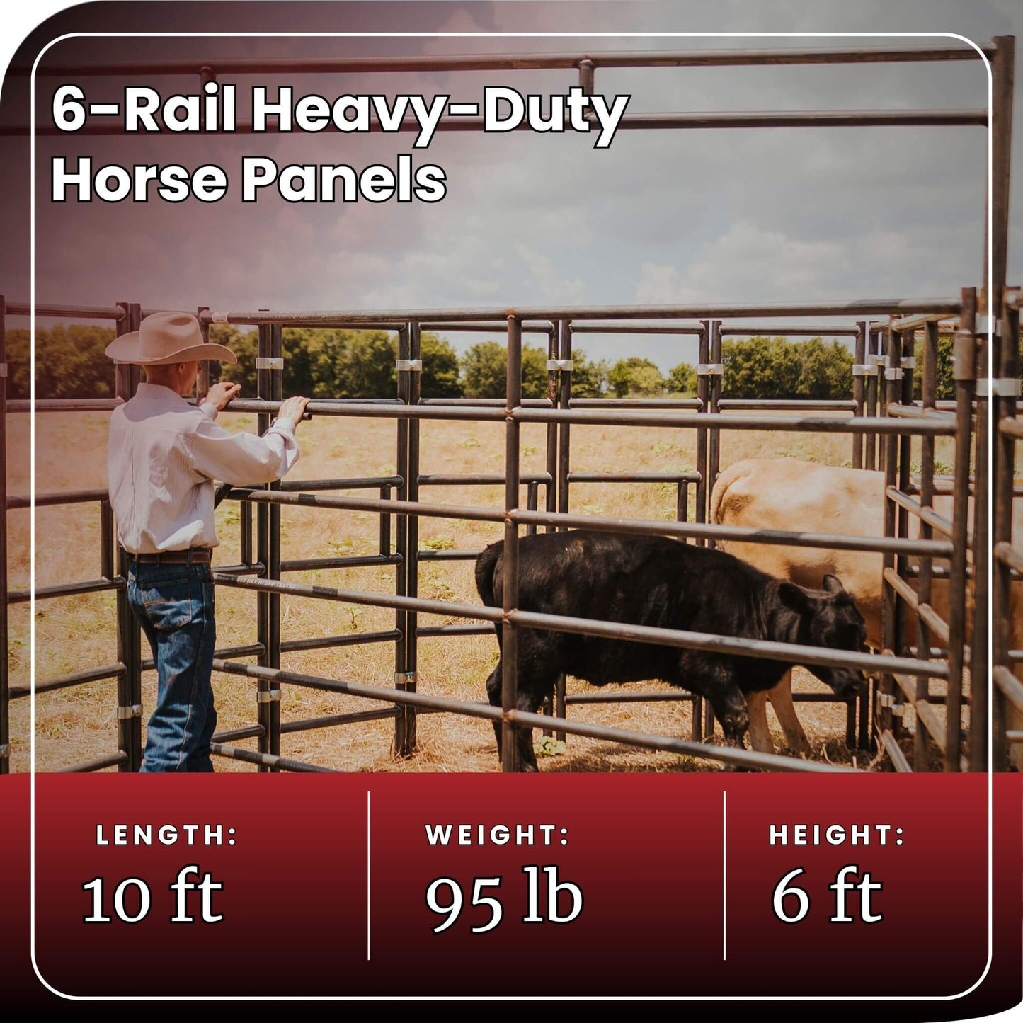 Horse Panel 10' - 6 Rail Heavy Duty