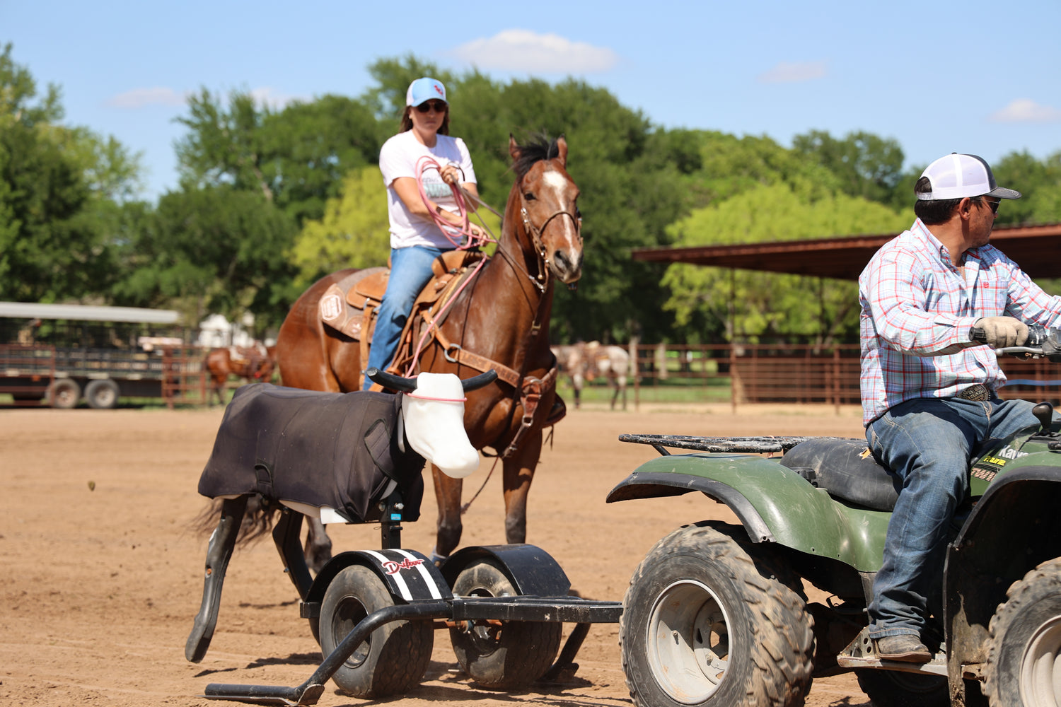 woman horseback riding practicing roping with mechanical steer