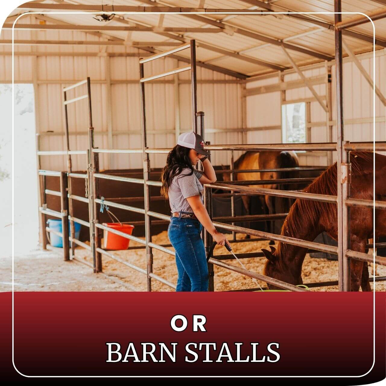 Horse Panel 10' - 5 Rail Standard