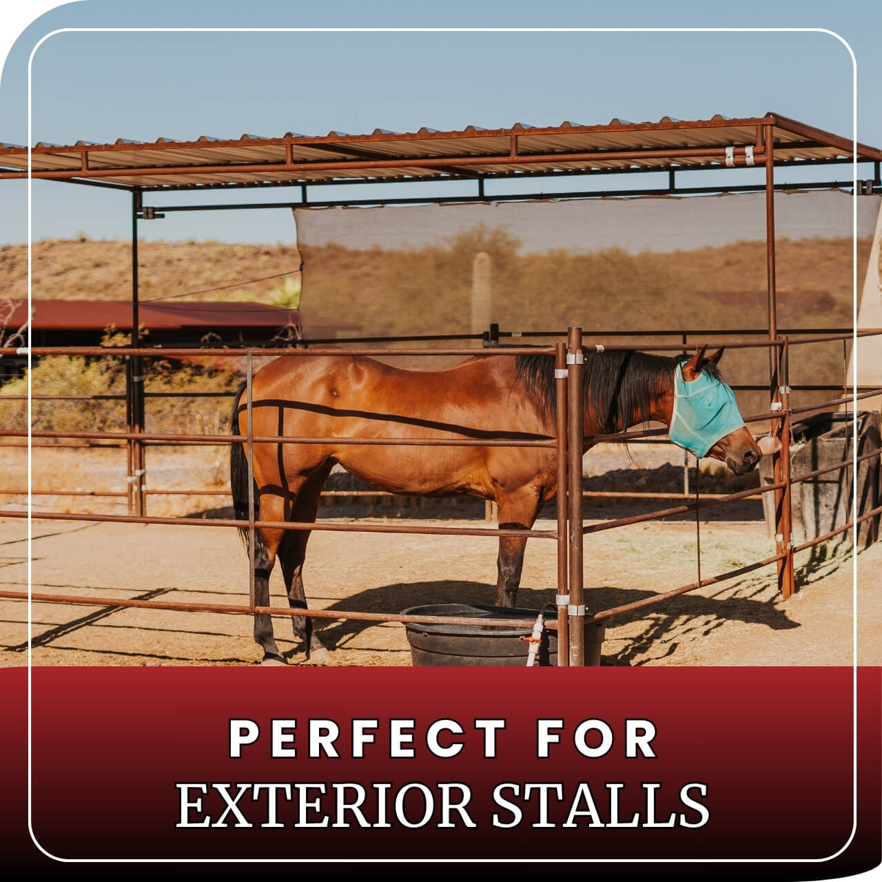 Horse Panel 10' - 5 Rail Standard