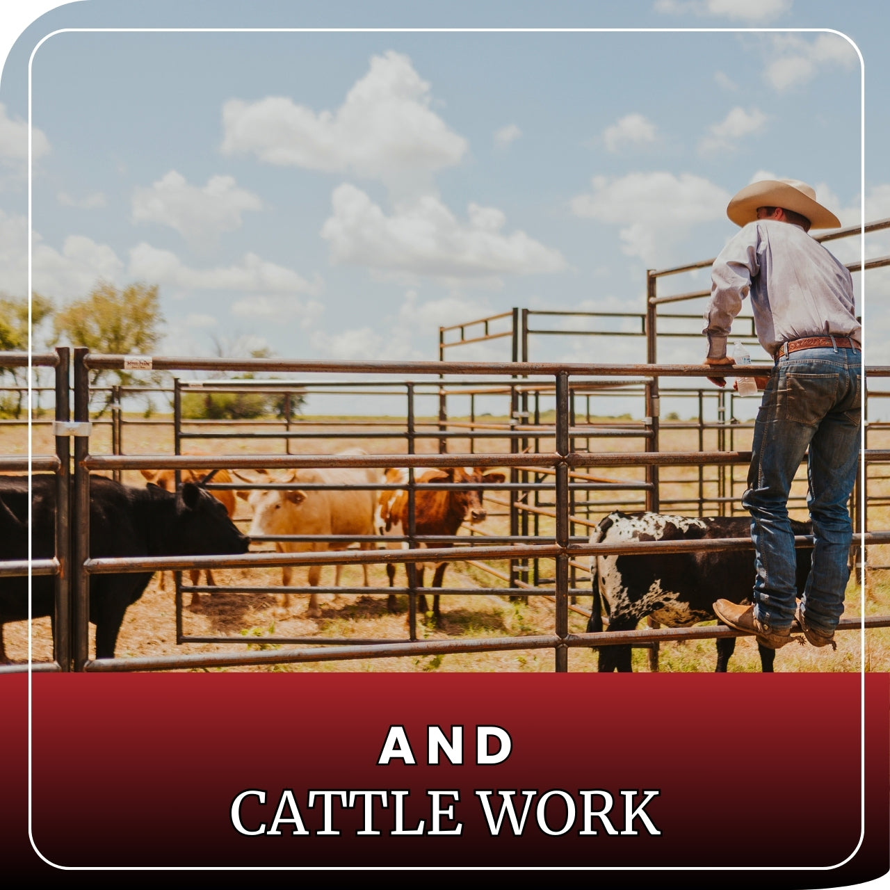 Horse Panel 10' - 5 Rail Heavy Duty
