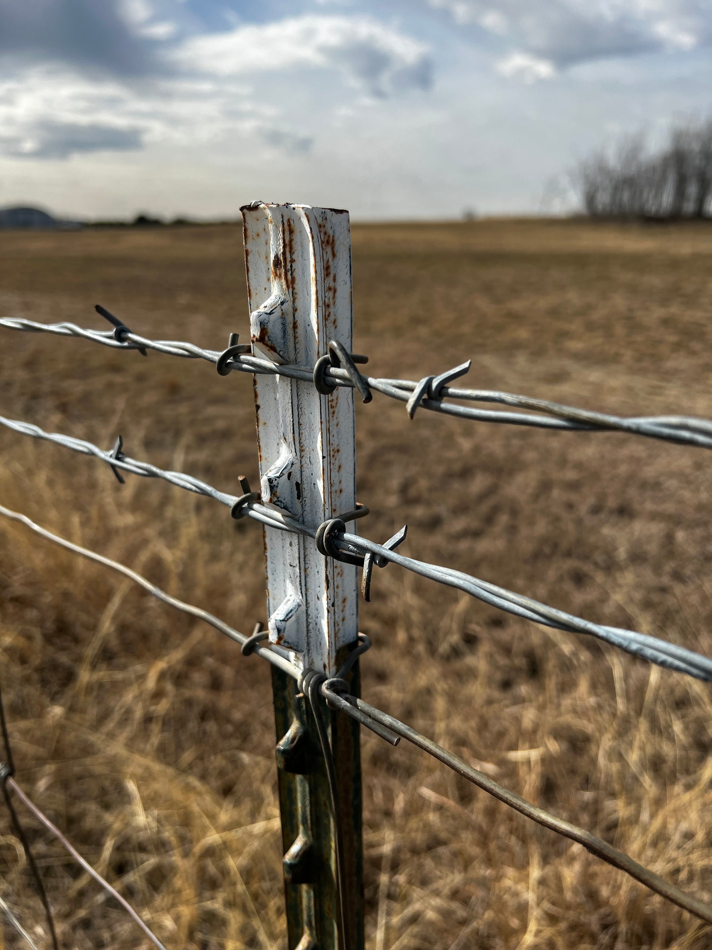 barbed wire fence post countryside field