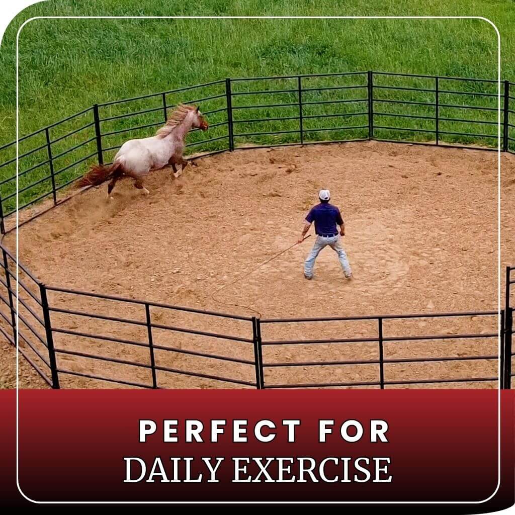 Round Pen 40 Ft Basic