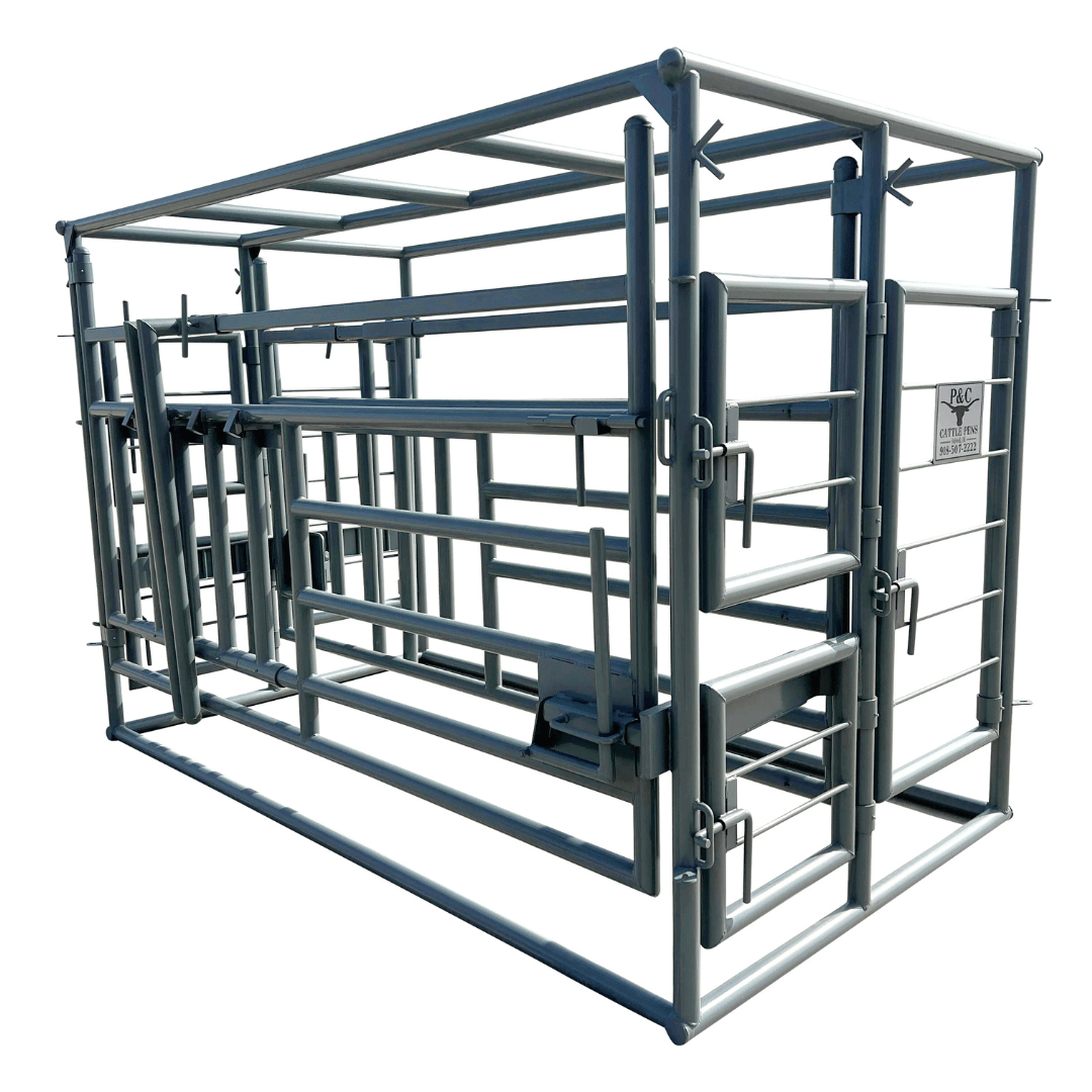 cattle chute metal livestock handling equipment