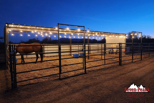 What Size Horse Stall Do I Need?