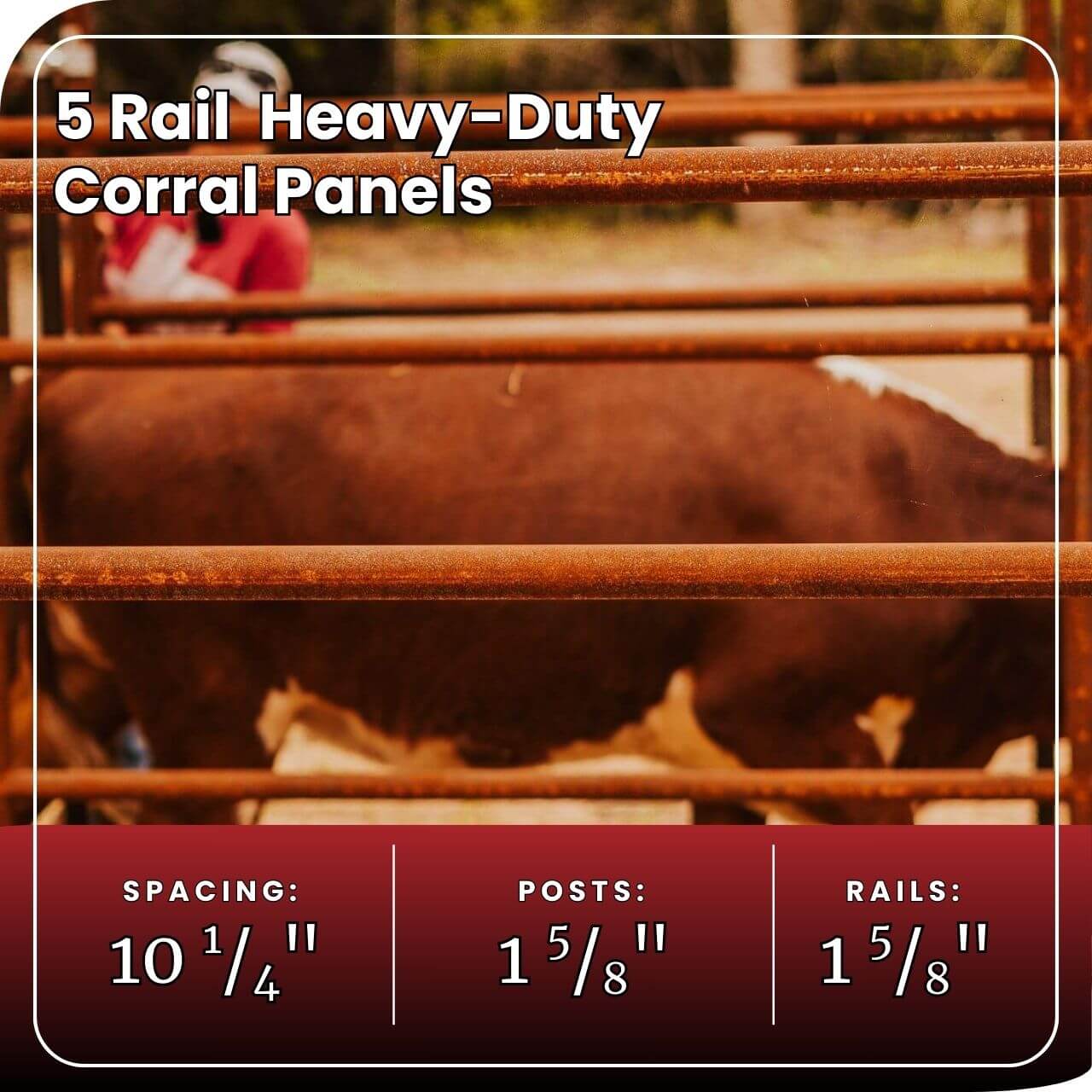 Cattle Working System - (A) 8-10 Head