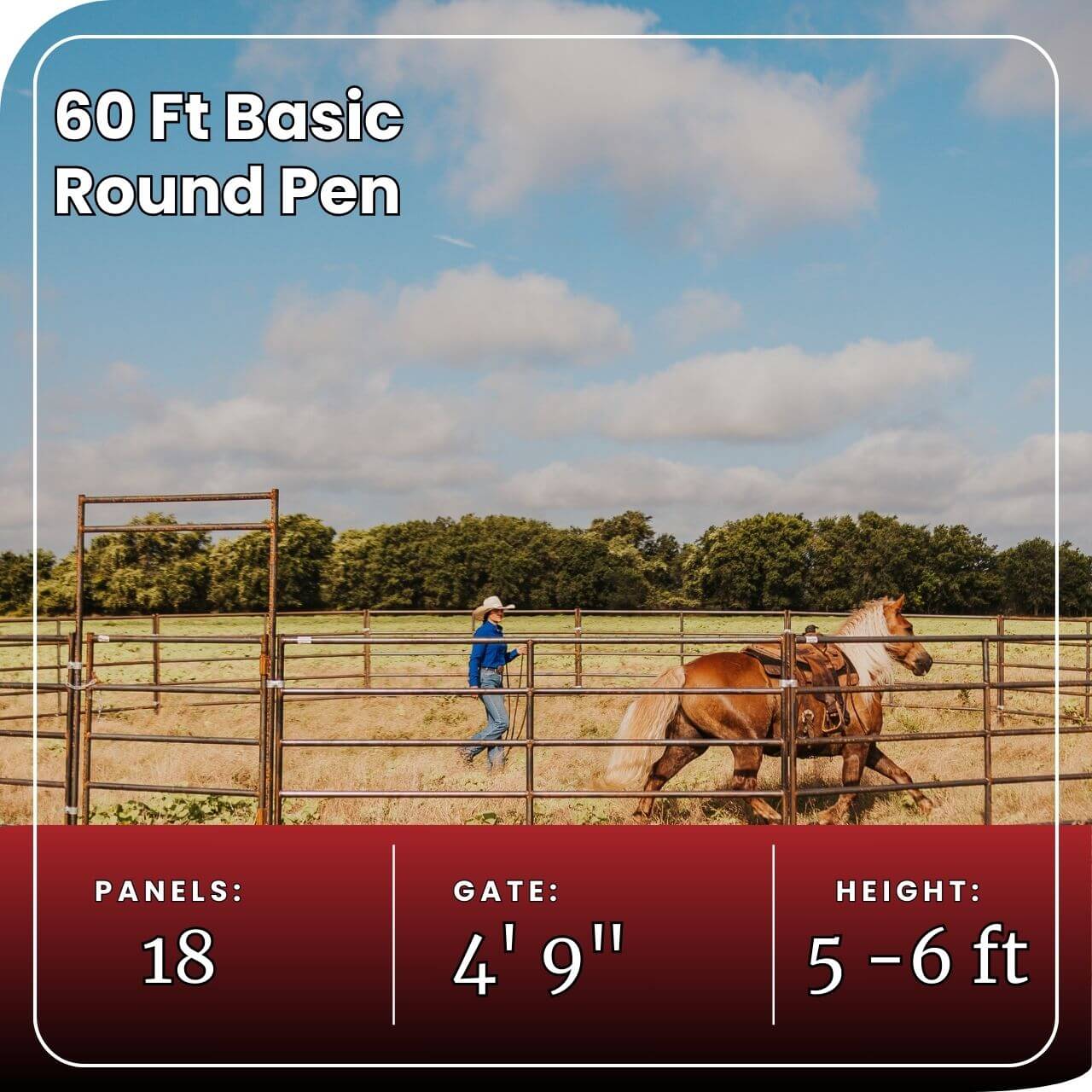 Round Pen 60 Ft Basic
