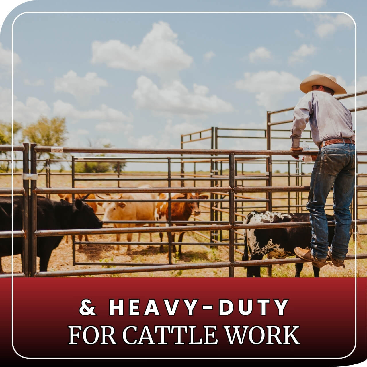 Horse Panel 10' - 6 Rail Heavy Duty