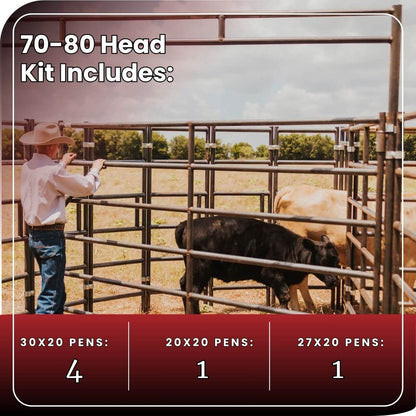 Cattle Working System - (A) 70-80 Head