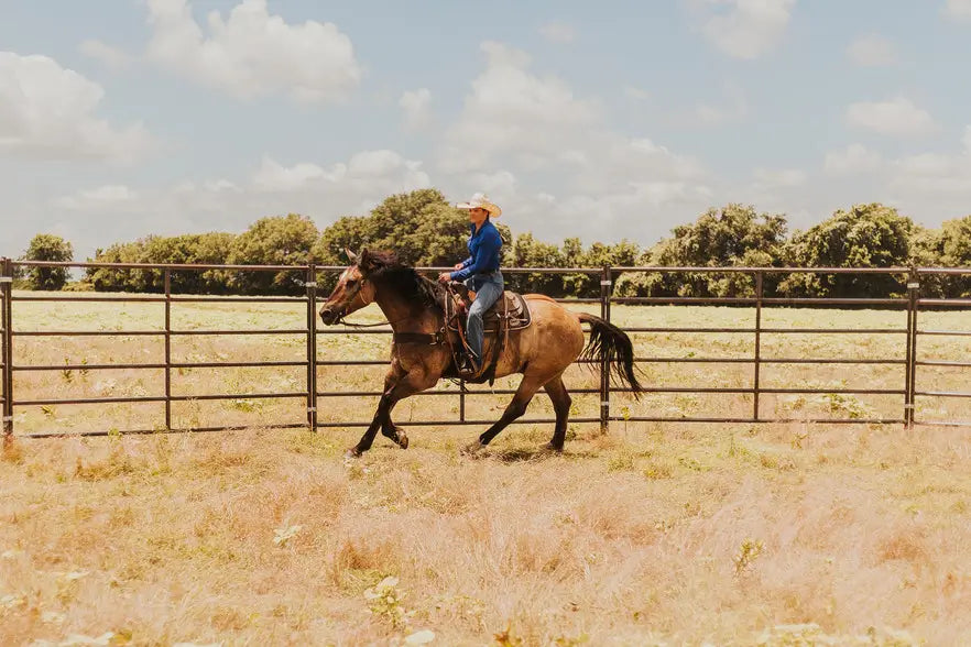 Woman in a blue shirt riding a horse in a round pen