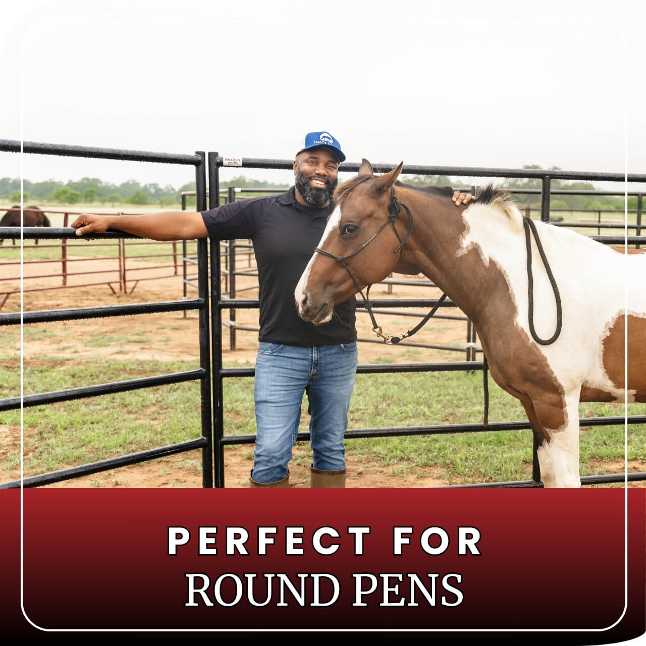 Horse Panel 10' - 5 Rail Heavy Duty