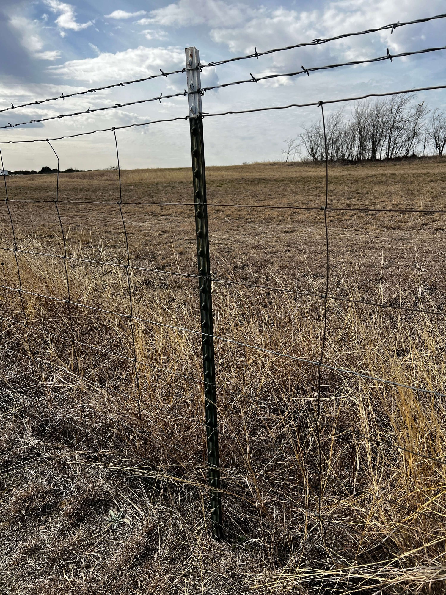 barbed wire fence in dry field