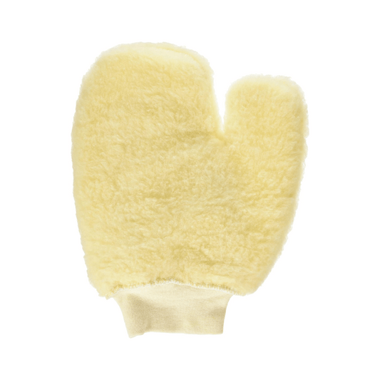 Painters Mitt