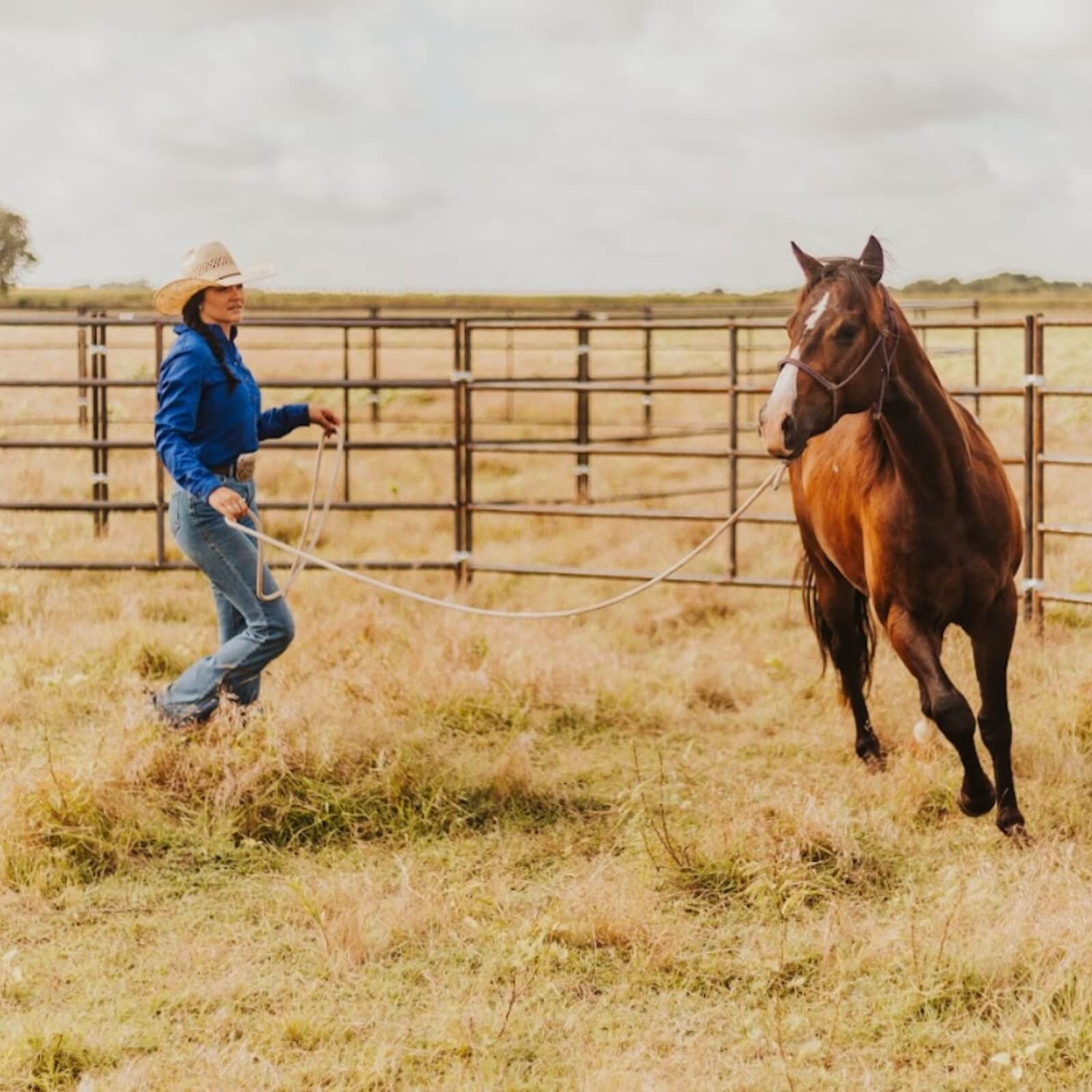Round pen with horse