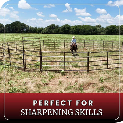 Round pen with horse