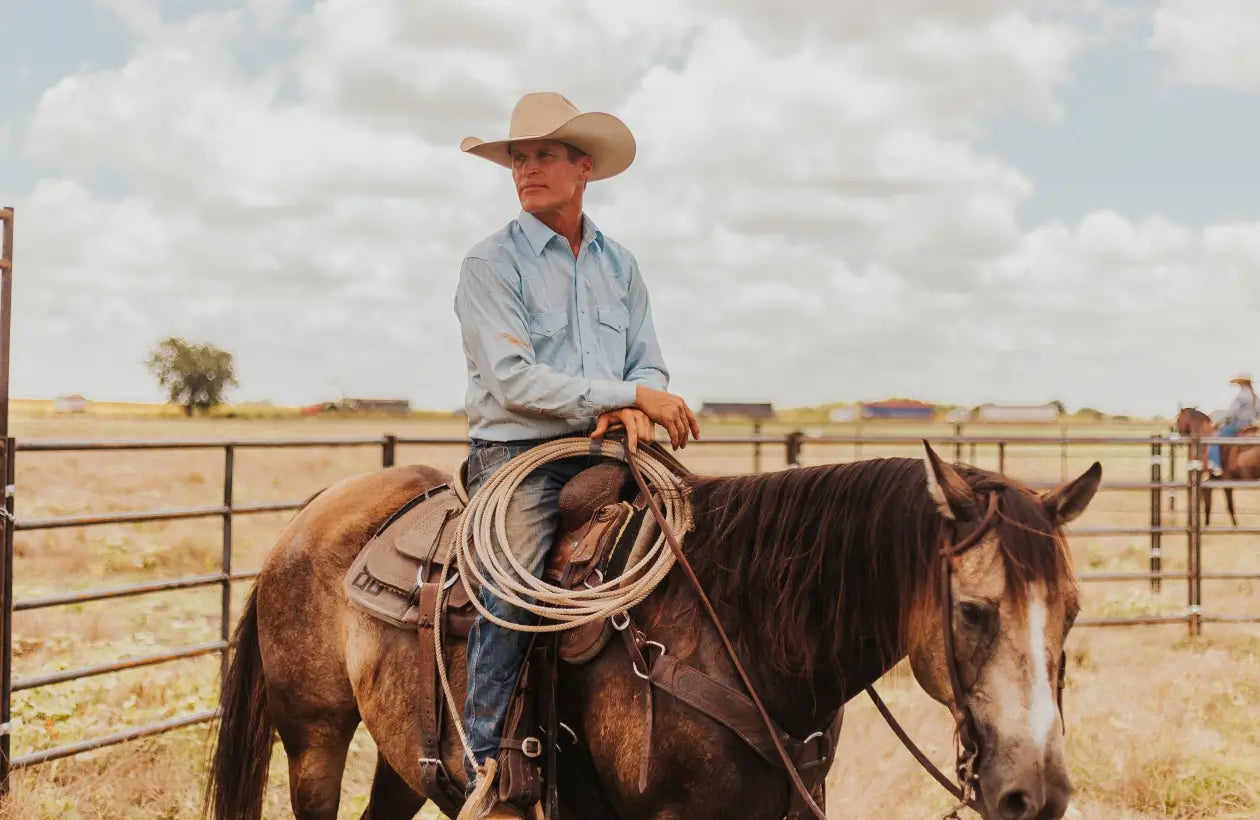 cowboy riding horse in field ranch scene
