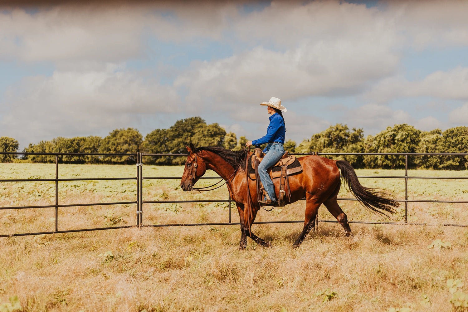 Cowgirl riding horse in sunny pasture.